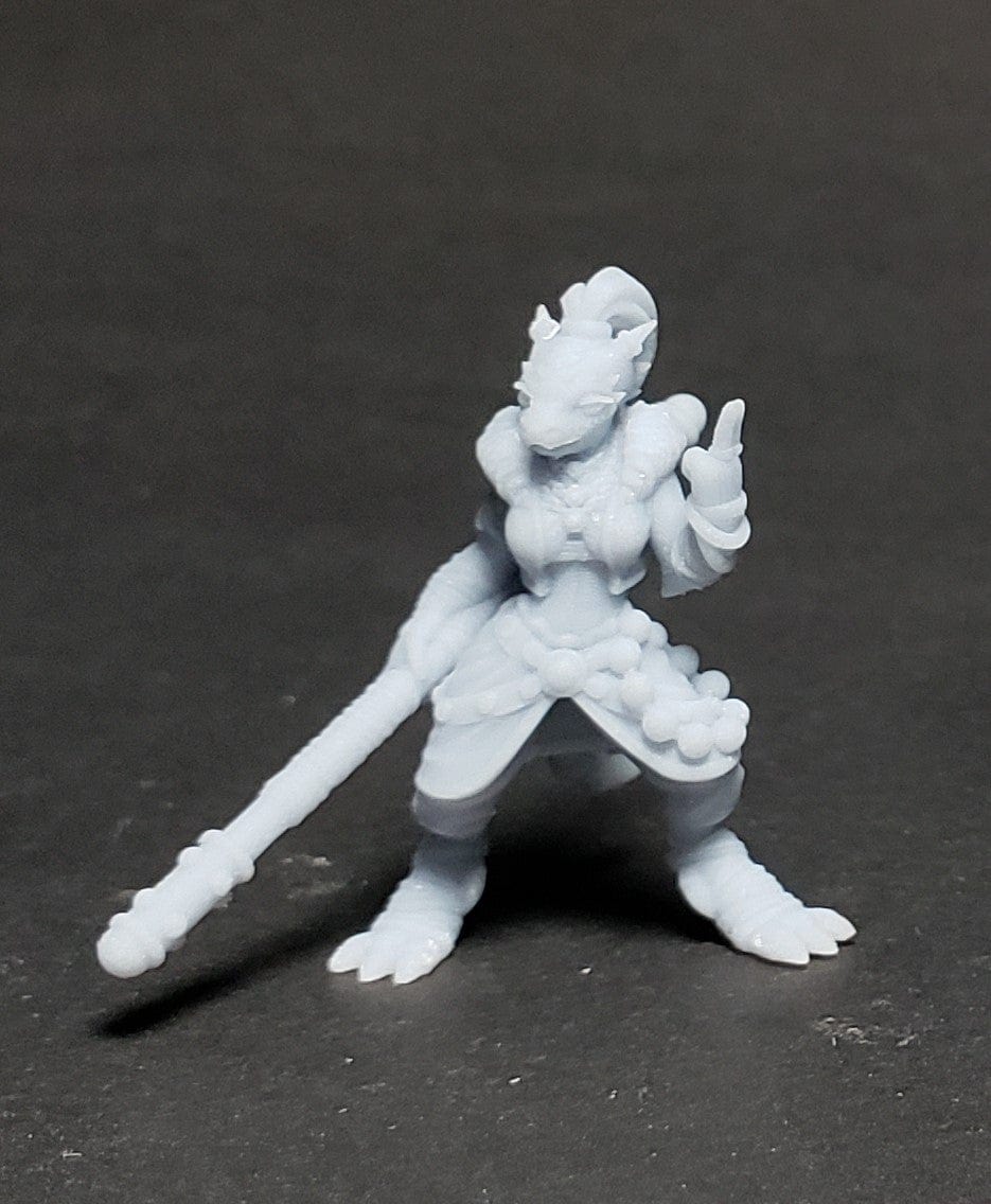 Onmioji Miniature Dragonborn Monk