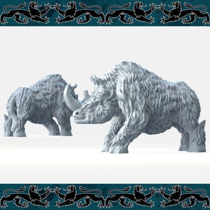 Rhino-Nafarrate-Animal