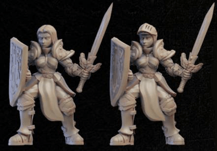 Shield Knight-Onmioji-Cleric,Female,Fighter,Human,Paladin