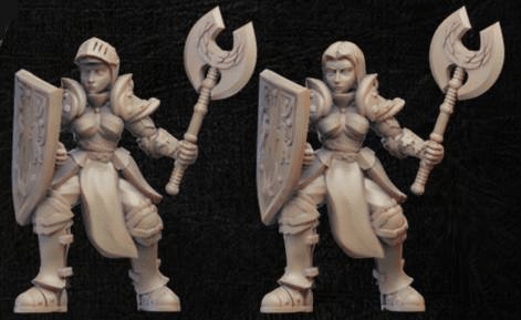 Shield Knight-Onmioji-Cleric,Female,Fighter,Human,Paladin