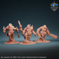 Amberhusk Trolls