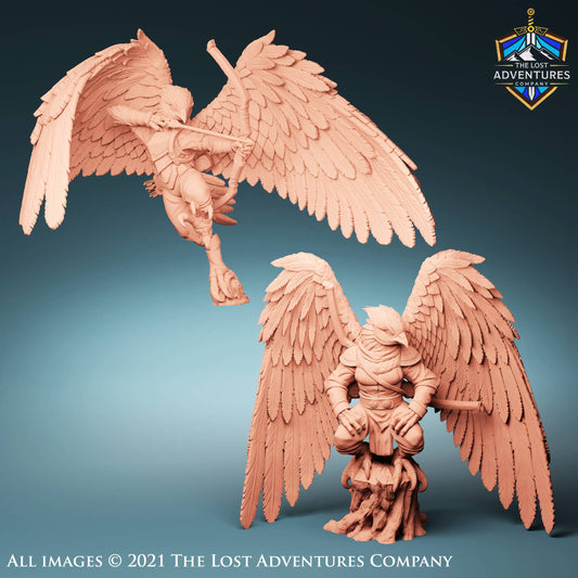 Aarakocra Archer