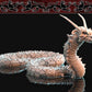 Nafarrate Bone Naga