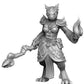 Onmioji Dragonborn Mage