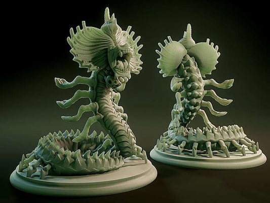 Nafarrate Fireworm (Baby Rehmoraz)