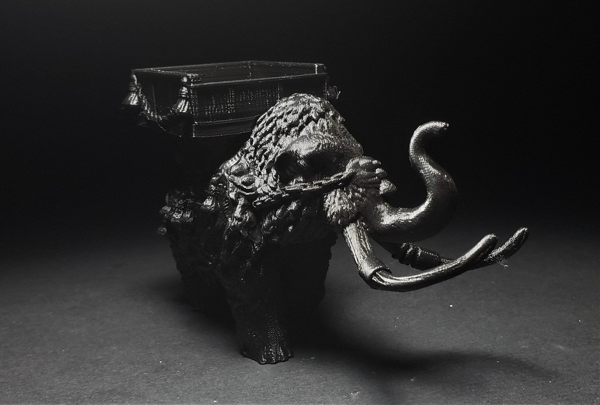 Nafarrate Mammoths