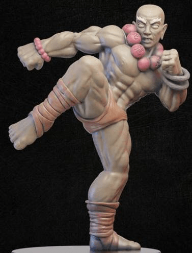 Roundhouse Monk-Onmioji-Fighter,Human,Monk